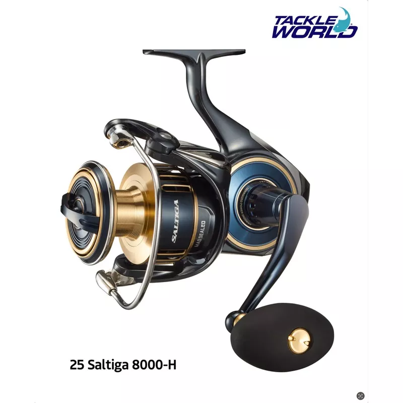 25 Saltiga