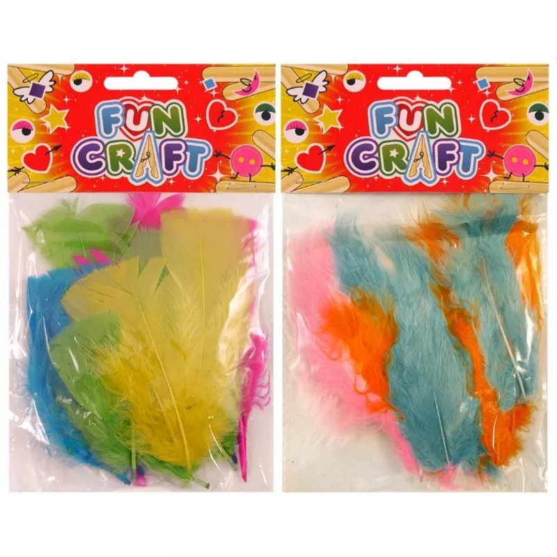 Coloured Feathers Craft Kits Feathers Dyed Feathers