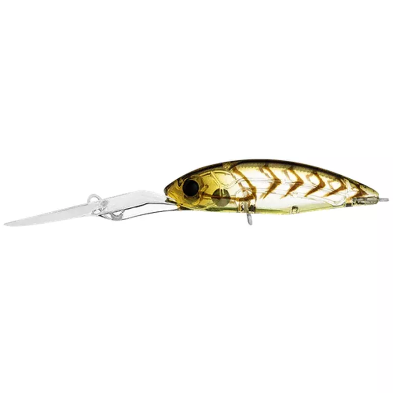 Daiwa Infeet Spike 53EXDR