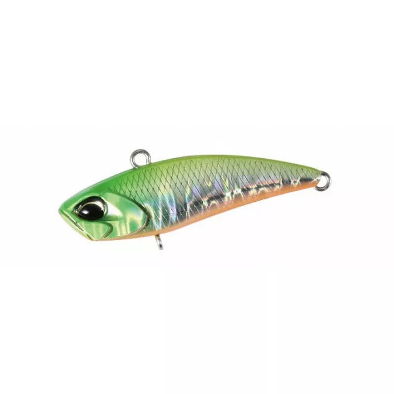 Duo Tetra Works Vivi Lime Head Chart OB