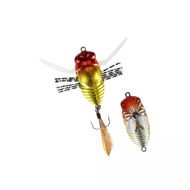 Duo Worm Realis True Bug Firefly