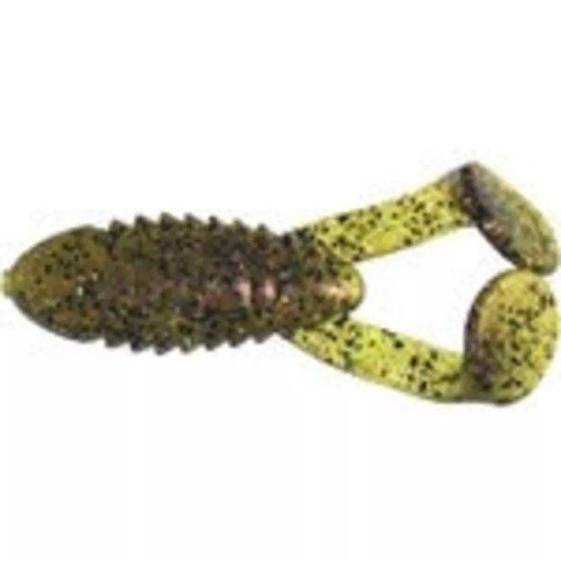 Gambler Cane Toad Lane toad color