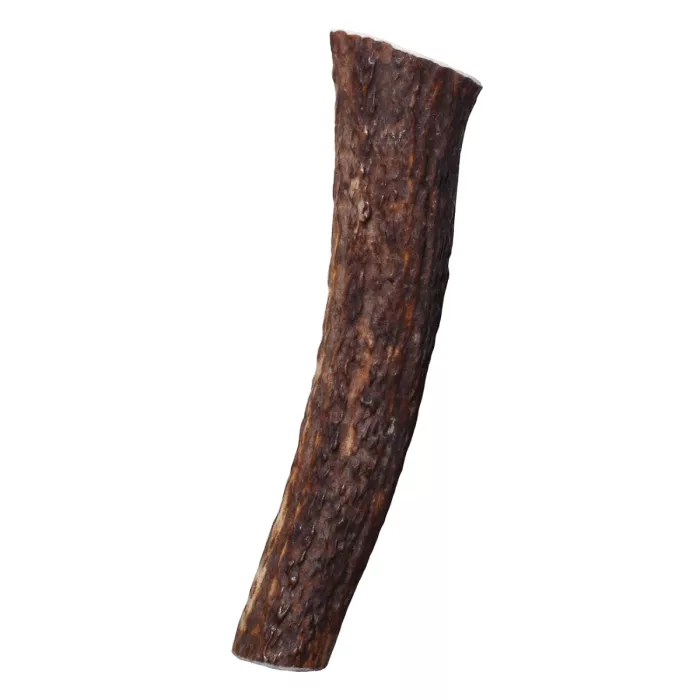Kong Wild Antler Whole