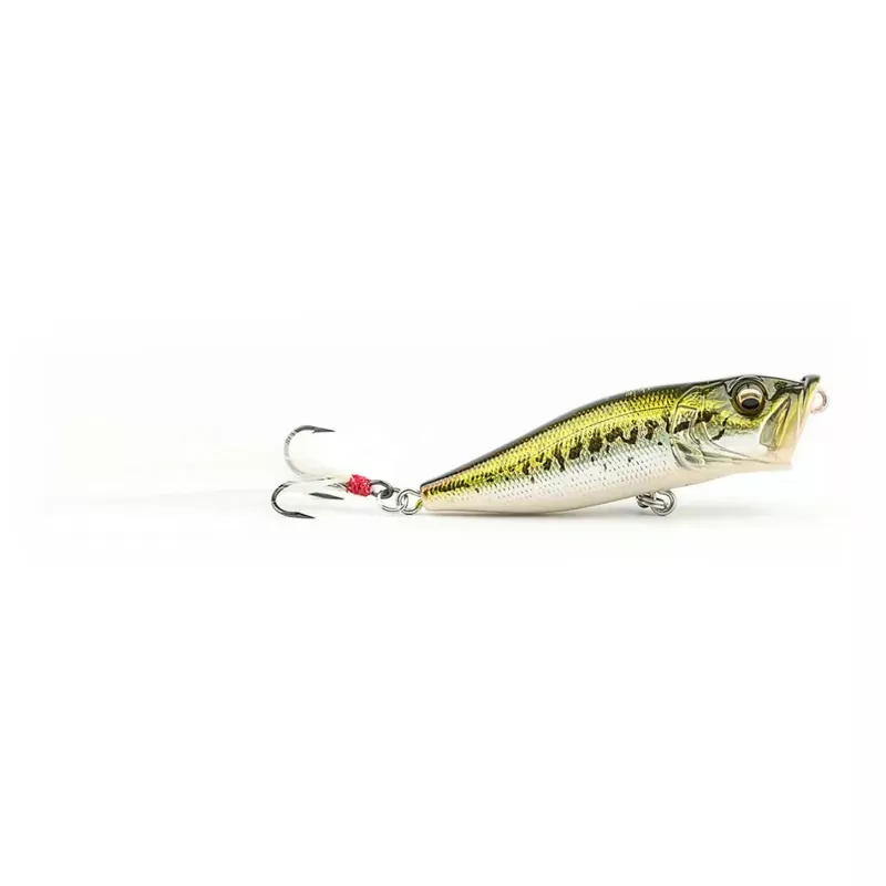 Megabass Pop-X Topwater