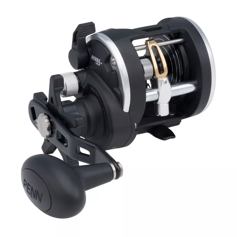 PENN Rival Level Wind Conventional Reel