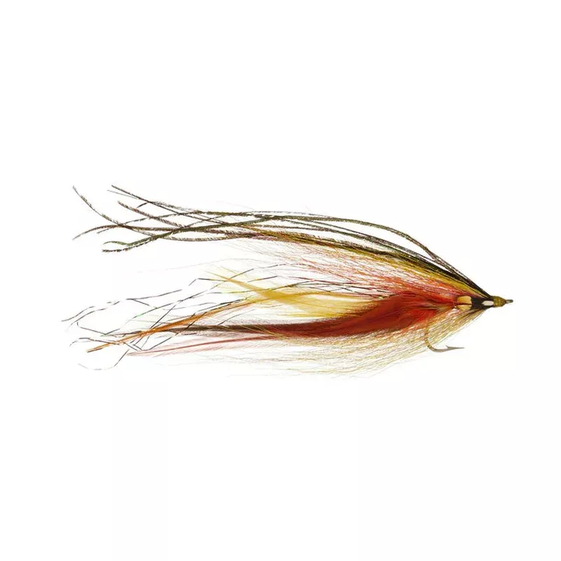 Rainy’s Cordeiro’s Ember