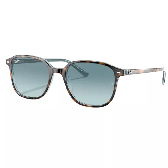 Ray-Ban Leonard Sunglasses