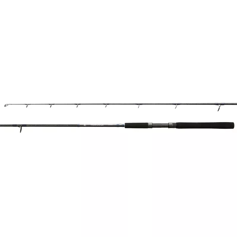 SHIMANO Teramar NE Spinning 6FT6IN Medium Heavy