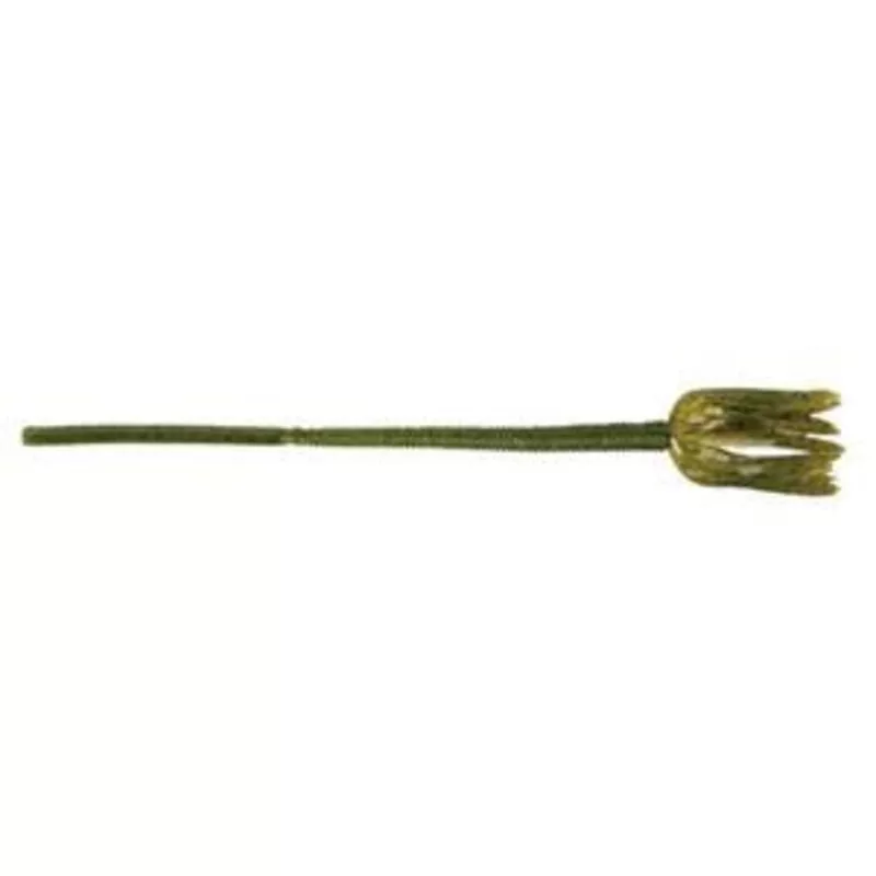 Yum Shakalicious Worm 5" F2 Watermelon Seed