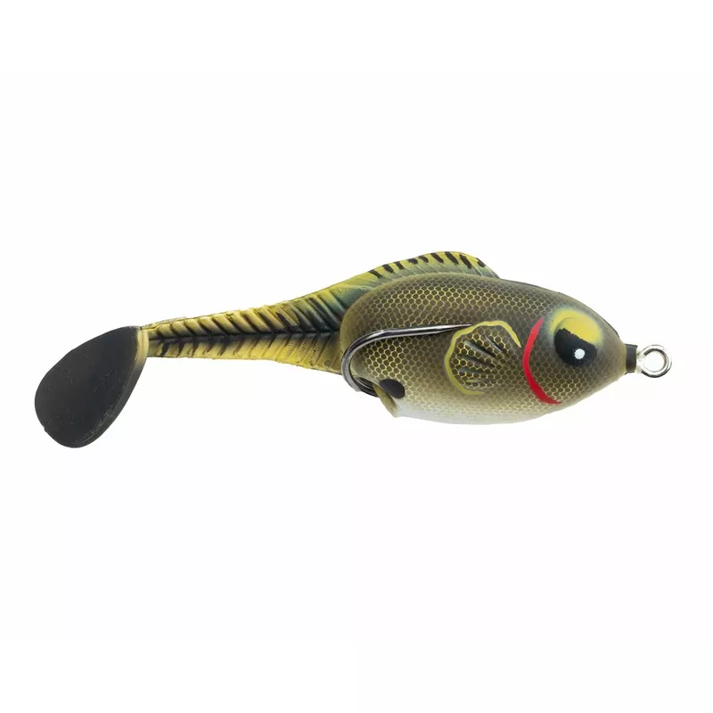 Zoo Wake Dark Gill